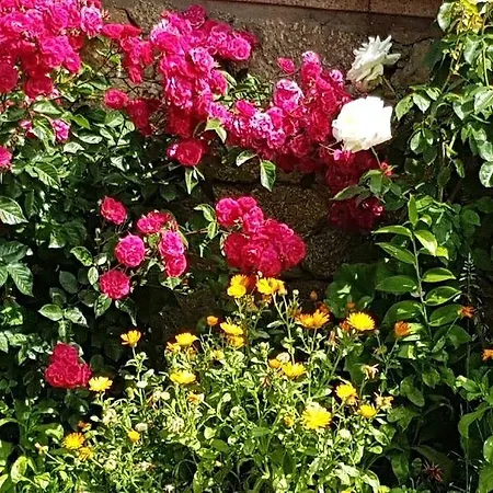 Solar Dos Marcos Rural 4* Bemposta (Braganca)