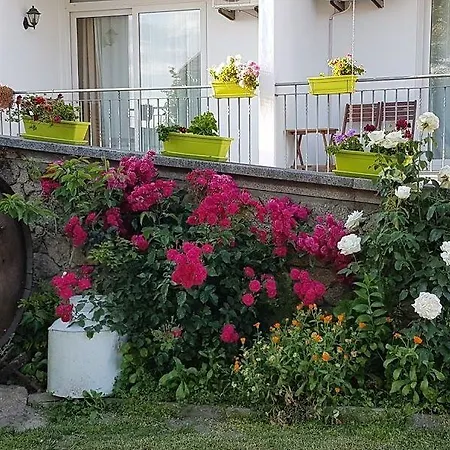 Solar Dos Marcos Rural