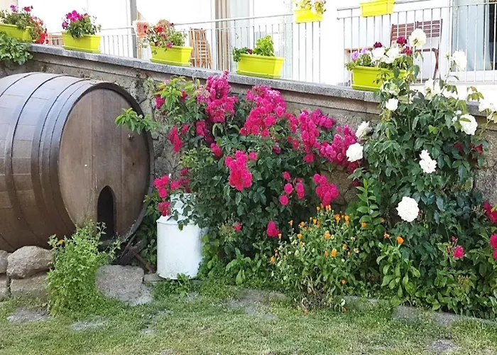 Hotel Solar Dos Marcos Rural