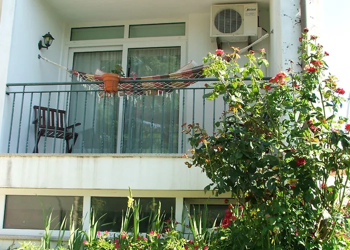 Solar Dos Marcos Rural 4* Bemposta (Braganca)