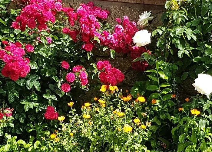 Solar Dos Marcos Rural 4* Bemposta (Braganca)