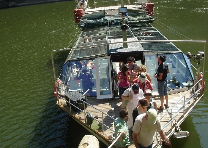 Solar Dos Marcos Rural 4* Bemposta (Braganca)