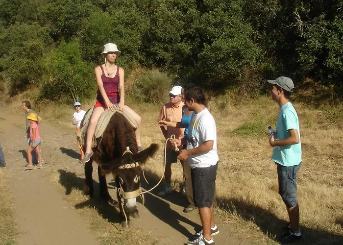 Solar Dos Marcos Rural